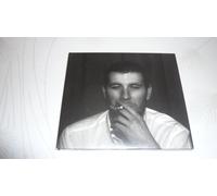 Arctic Monkeys Shifty Adventures in Nookie Wood (CD)