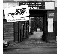 Arctic Monkeys - When The Sun Goes Down (7") [Import]