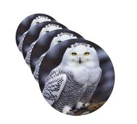 Arctic Owl Lot de 4 désodorisants de voiture à suspendre à la lavande - Feuilles parfumées à suspendre pour voiture, maison, bureau, placard, salle de bain