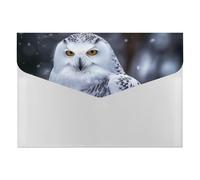 Arctic Owl - Organiseur de documents en accordéon à 6 poches - Dossier extensible avec étiquettes, dossiers de documents de voyage - Enveloppes en plastique avec fermeture à pression - 33 x 23 cm