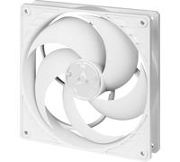 ARCTIC P14 Max (Blanc) - Ventilateur de boîtier 140mm - palier à dynamique des fluides - max 2800 RPM - régulé par PWM