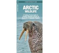 Arctic Wildlife: A Folding Pocket Guide to Familiar Animals & Plants of the Arctic & Subarctic Regions