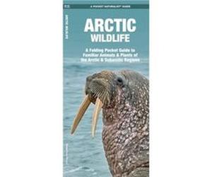 Arctic Wildlife An Introduction to Familiar Species by Illustrated by Dr Raymond Leung James Kavanagh Illustrated by Dr Raymond Leung James Kavanagh (Auteur)