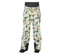ARCTIX Pantalon de Ski pour Homme, Homme, Pantalon de Ski, 1960-56-M, Green Geo, m