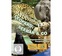 Leopard, Seebär & Co. – Partie 1 – Ard Video – Studio Hamburg Enterprises – Import