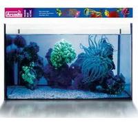 Ardacia fmb-80t5 Marine Lampe Actinic, 80 Watt, Bleu