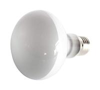 Ardentity Lampes de Chauffage, Lampe Tortue Terrestre Chauffante Reptiles et Amphibiens pour Aquarium Éclairages 100W UVA UVB