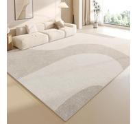 ARE RUG Tapis Salon Doux Lavable Chambre Véranda À PoilsFluffy Uni Tapis Chambre Tapis Antidérapant Facile À Entretenir pour Salon Chambre Salle a Manger (B,40×60cm)
