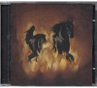 Are The Dark Horse