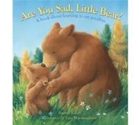 Are You Sad Little Bear by Rachel Rivett Rachel Rivett (Auteur)