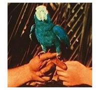 Andrew Bird Are You Serious (Vinyl) 12" Album