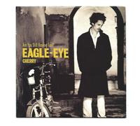 Eagle Eye Cherry - are You Still Having Fun