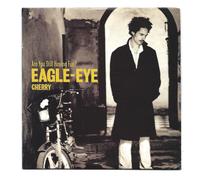 Eagle Eye Cherry - are You Still Having Fun