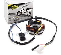 Area1 Stator/Alternateur pour scooter 50 cc - Compatible Peugeot Speedfight 1 & 2, Elyseo, Elystar, Vivacity, Trekker, Gipsy, Buxy, Squab, TKR, SV, Splinter, ainsi que Sachs, Hond. X8RS, SXR, SFX