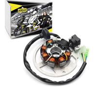Area1 Stator d'alternateur de rechange compatible avec B-05, Ride Classic, Omen Toxic, Classic, Paradise, Jump, Vendetta, compatible avec SX1 50 cm³