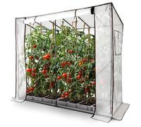 Arebos Serr Grande Serre en Film Plastique avec 2 Fenêtres d'Aération | Serre à Tomates, Porte Enroulable | 200x77x170 cm