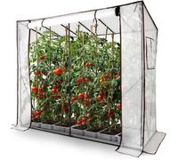 Arebos Serr Grande Serre en Film Plastique avec 2 Fenêtres d'Aération | Serre à Tomates, Porte Enroulable | 200x77x170 cm