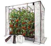 AREBOS Serre à tomates Serre précoce Serre en film plastique 200 cm avec fenêtre