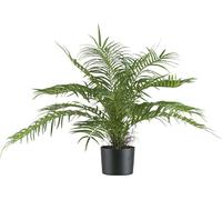 Areca Palmbush 70 cm vert - Plante artificielle facile à entretenir dans un pot en plastique stable