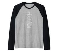 Arecibo Message Astrologues Exploration spatiale pour les extraterrestres Manche Raglan