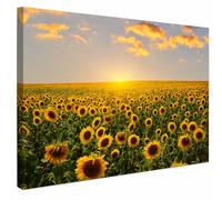 AREDE Tableau Décoration Murale sur Toile | Champs de tournesols au lever du soleil | Art Déco Salon Chambre | Tableau Moderne 60 x 40 cm | Prêt à être accroché