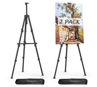 Aredy Lot de 2 chevalets pour peinture sur toile - 63 chevalets artistiques pour dessin, chevalet de peinture portable en métal (lourd)