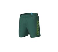 Arena - Fundamentals Logo Boxer R - Short de bain - S - mangrove / artic lime