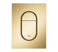 Arena Cosmopolitan taille S plaque de commande double touche, cool sunrise brossé (G37624GN0)