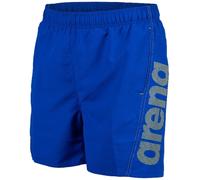 Arena Homme Fundamentals Logo Boxer Swim Trunks, Neon Blue-soft Green, XL EU