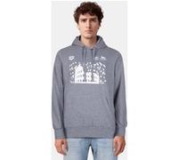 Arena Hoodie Esch Rome 22 Merch Grey Melange Taille: XS | Sweatshirts à capuche Outlet | Unisex | Gris