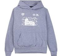 Arena Jr Hoodie Esch Rome 22 Merch Grey Melange Taille: 9-11 | Pulls Outlet | Unisex | Gris