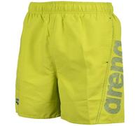 Arena Mens Fundamentals Logo R Beach Boxer Vert doux Large Male