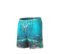 Arena Men's Prints Beach Boxer Swim Briefs, Water Multi, XXL