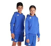 arena Team Junior Panneau de Sweat-Shirt à Capuche