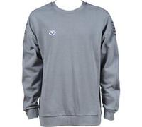 Arena Sweat Team Oversize Stone Grey Stone Grey Irid Taille: S | Pulls Outlet | Unisex | Gris