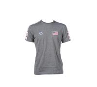 ARENA T-Shirt Unisexe pour Homme Team Stripe, Mixte Homme, T-Shirt, 002701, Gris foncé mélangé, L