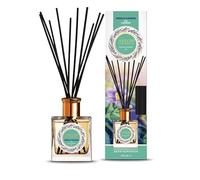 Areon Home Parfums Huile de Lavande Diffuseur de parfum longue durée Jardin français et lavande 150 ml