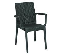 Areta AR013 Rattan Espresso Dafne Décor Fauteuil Plastique