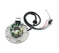 Areyourshop 6 Coils Ignition Stator fit for TM Racing TM 125/250 en & MX 2001-2021 TM 85 2002