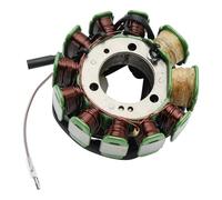 Areyourshop Lichtmaschine Stator fit für SMC Stinger Explorer BAROSSA Cheetah Rex Quad 250 CCM