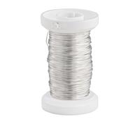 Argent Fil Métallique 0,25 mm SB A. 100 m