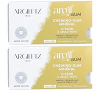 Argiletz 12 Chewing-gums Sans Sucre Citron Spray 2x12 pc(s)