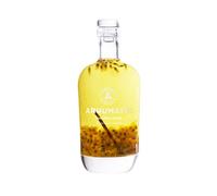 ARHUMATIC - Punch au Rhum - Passion Vanille (Passiflora Edulis) - 29% Alcool - Origine : France - A servir en digéstif ou apéritif - Fabrication artisanale - 70 cl