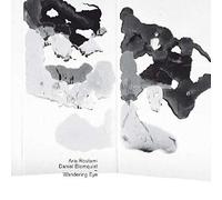 Aria Rostami &amp - Wandering Eye