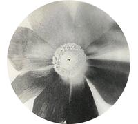 Ariana Grande PETAL Vinyle 12" Pearl Translucent + Slipmat Édition Limitée