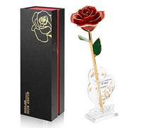 Ariceleo Doré Infinity Rose Décoration Intemporelle, Cadeau d'anniversaire pour Femme Saint Valentin Fête des MèRes, Rose de Conservation de Résine | Cadeau d'anniversaire pour Maman (Rouge)