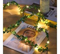 Ariceleo Lumineuse LED de Vigne 5m, 2 Paquet, Fil de Cuivre à Piles avec Minuterie, Scintillement & Télécommande, 8 Modes d'Éclairage, Blanc Chaud pour Intérieur, Idéal pour Noël, Mariages, Fêtes