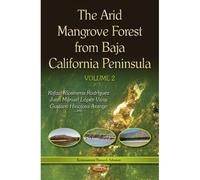 Arid Mangrove Forest From Baja California Peninsula