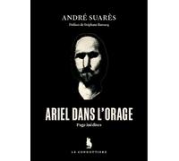 Ariel dans l'orage