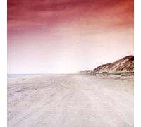 Ariel Kill Him - Alpha is Down